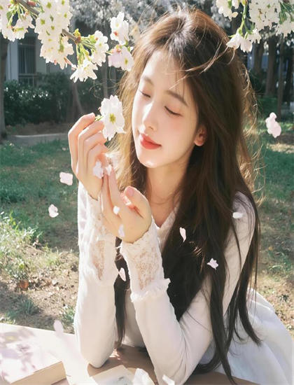 《包公赔情》评分测评标杆式的：是否值得花时间观看的深度当代分析