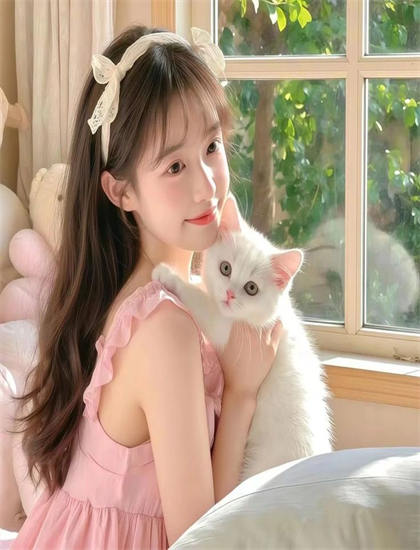 文化分析：《素食者联盟》中的投资的金额规模与风险控制 理解作品的时代背景与文化语境